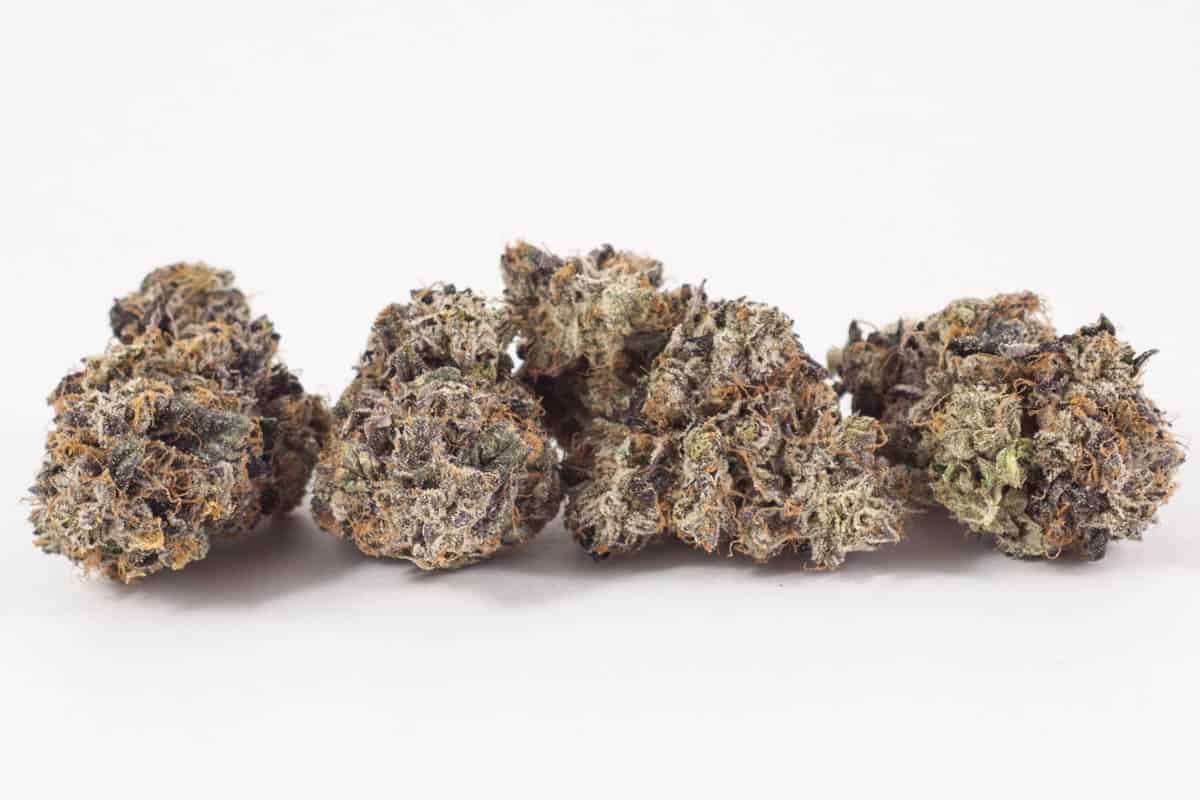 new hampshire recreational cannabis dispensary