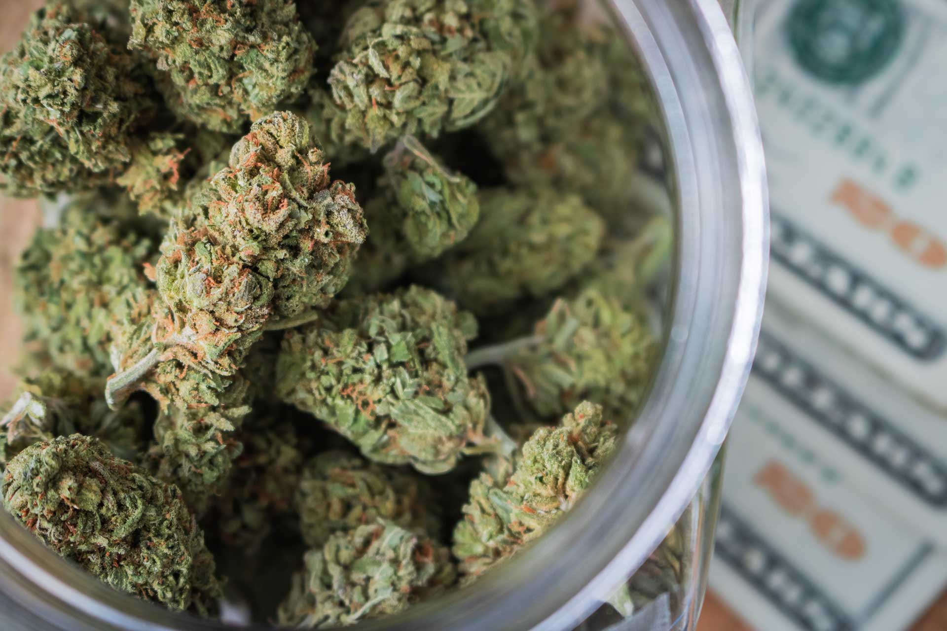 massachusetts adult use cannabis recreational marijuana