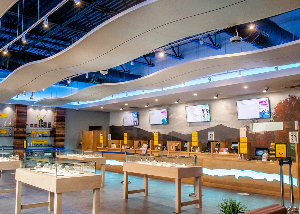 gilbert asks the cannabis industry experts