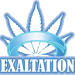 exaltation cannabis strain