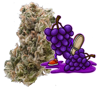 grape stomper cannabis flower lazy river products