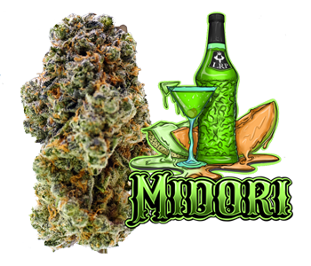 Midori cannabis flower lazy river products