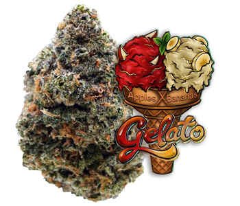 gelato cannabis flower lazy river products