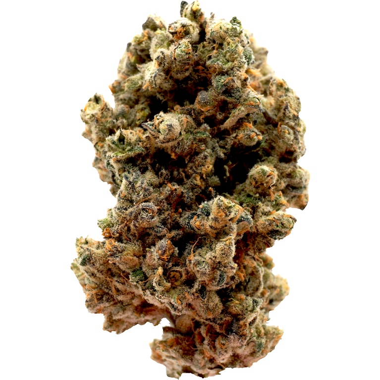 mimosa cannabis strain