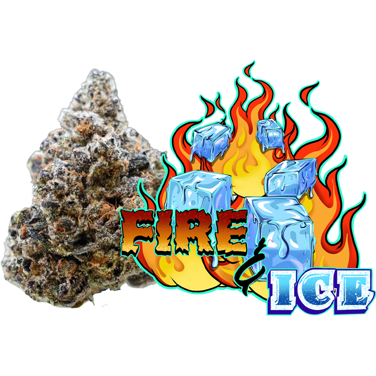 fire and ice medical dispensary ma