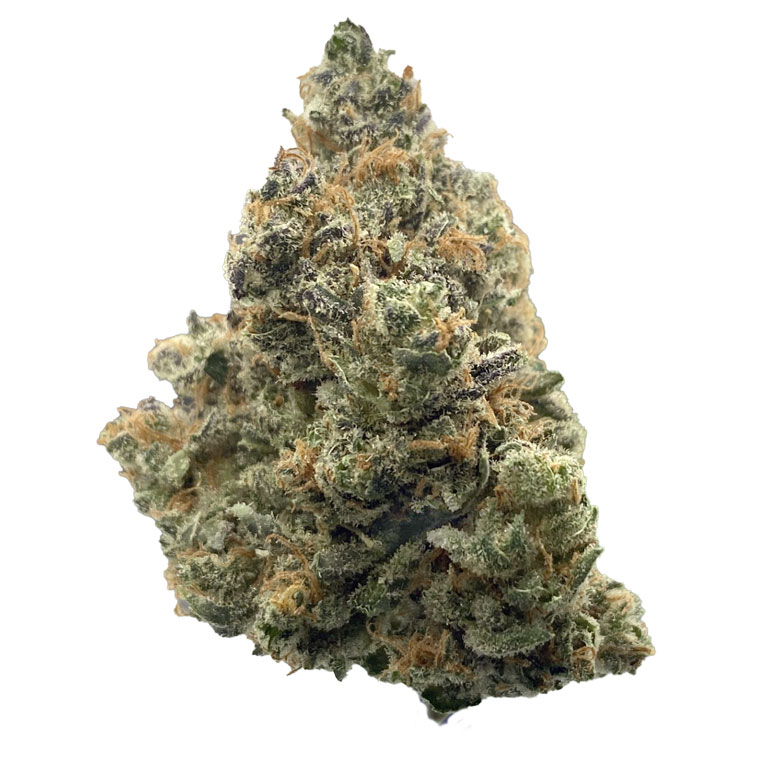 Cultivars • Massachusetts' Best Cannabis Strains
