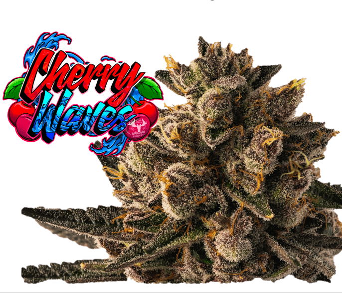 lost mary turbo nicotine percentage Is Lost Mary Vape Weed? Understanding What's Really Inside Your Device