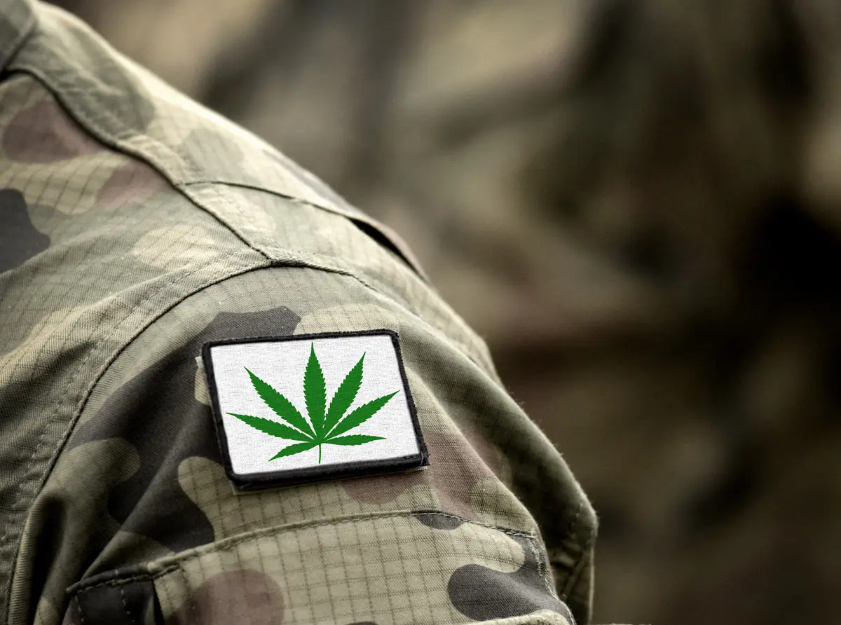 Massachusetts Recreational Cannabis Dispensary | Lazy River Products