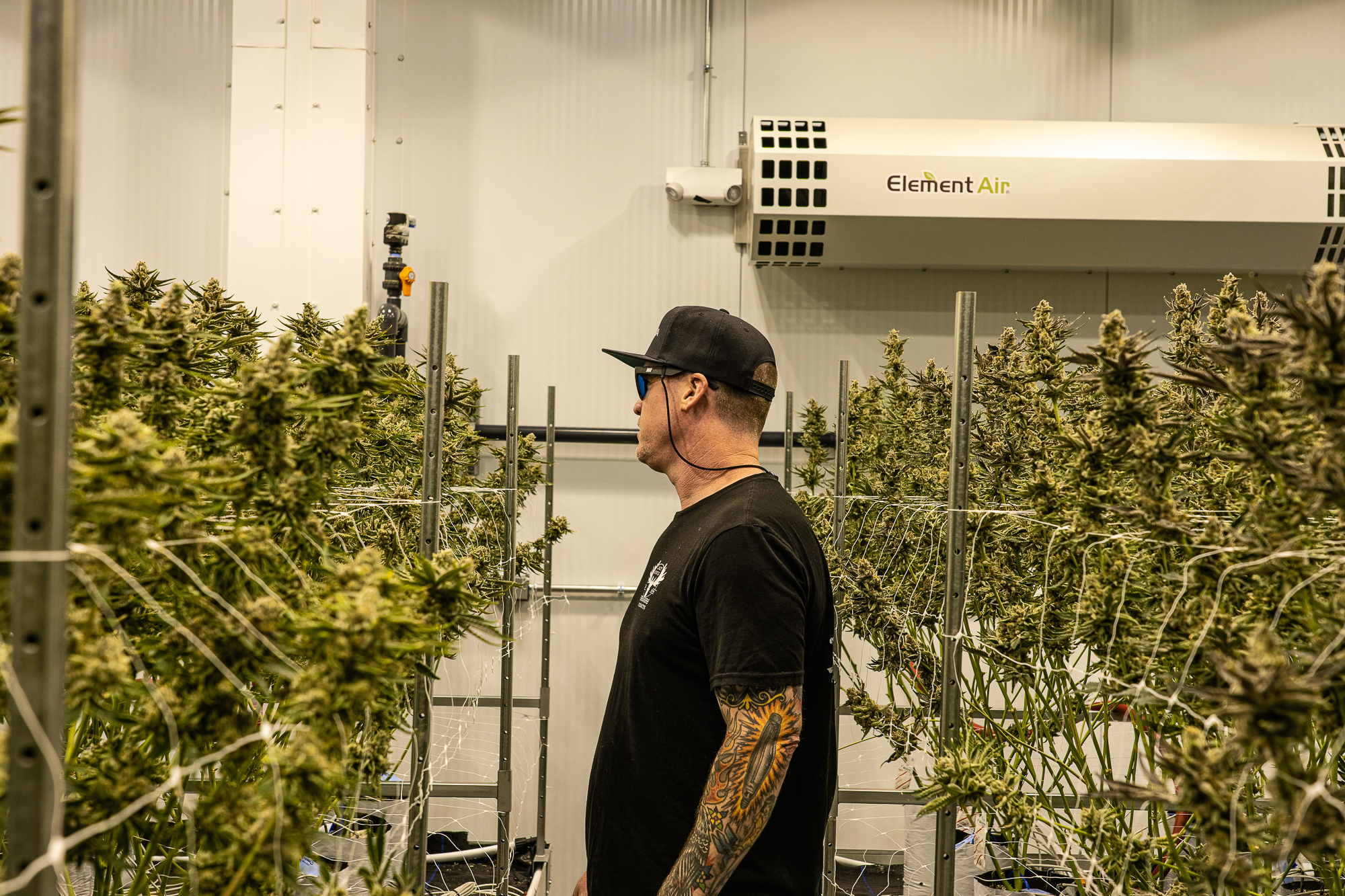 Lazy River Products cannabis