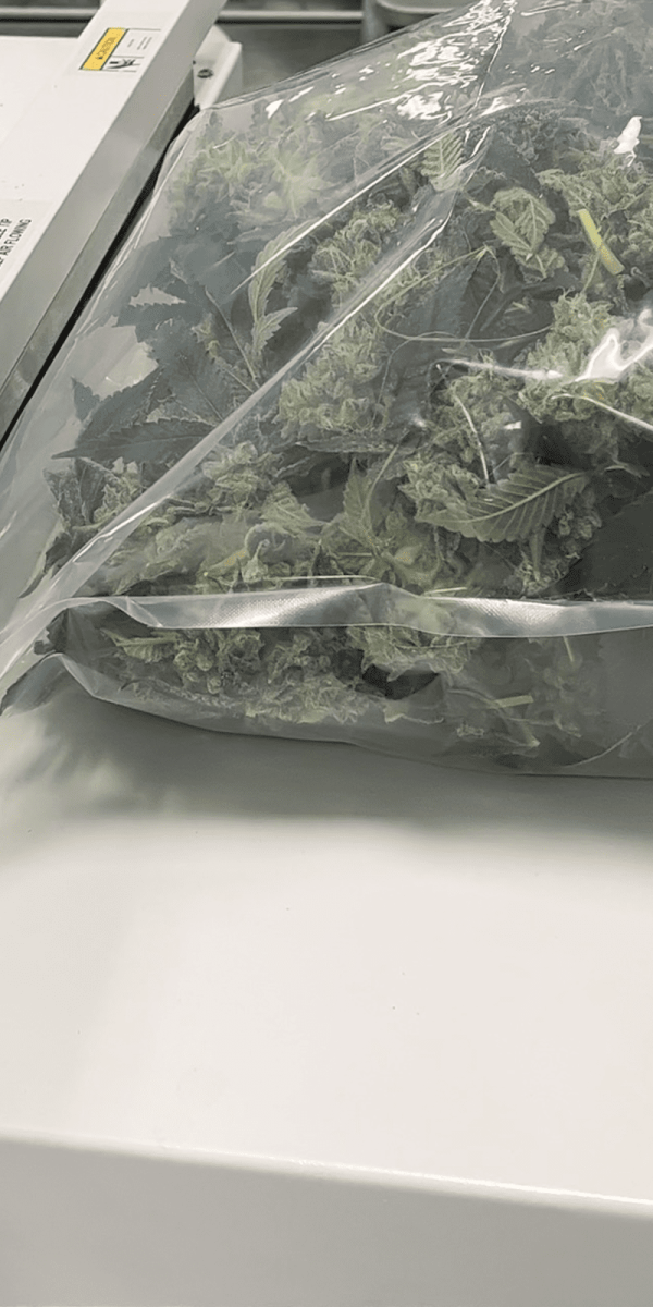 Lazy River Products Live Rosin Flower