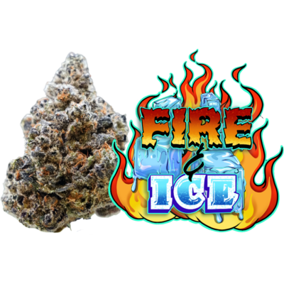 fire and ice cultivar