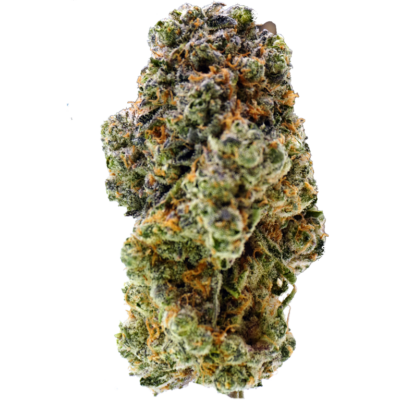 midori cannabis strain